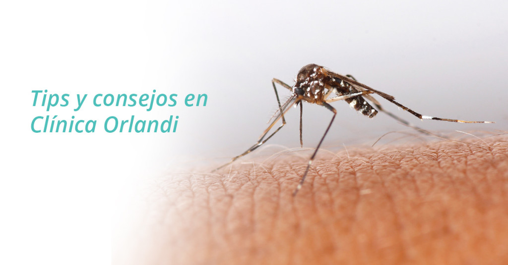 BannerFacebookMosquito_page-1024x535